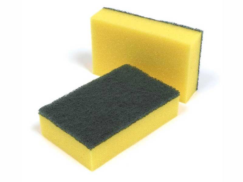 Sponge Scourer