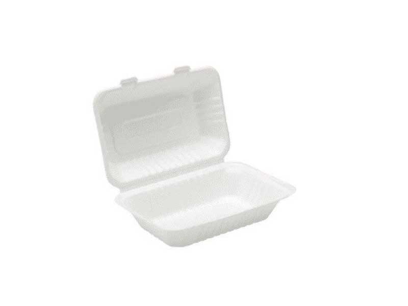 Takeaway Food Carton